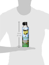 Load image into Gallery viewer, Raid Yard Guard, 16 OZ (Pack - 6)
