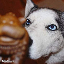Load image into Gallery viewer, SmartBones Smart Chews Safari Chews for Dogs, Rawhide-Free, Large, 14 Pieces