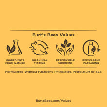 Load image into Gallery viewer, Burt's Bees 100% Natural Moisturizing Lipstick, Lily Lake, 1 Tube