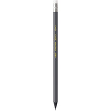 Load image into Gallery viewer, BIC Evolution Cased Pencil, 2 Lead, Gray Barrel, 48-Count