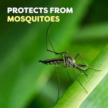 Load image into Gallery viewer, OFF! FamilyCare Insect Repellent IV Unscented, 6 oz (Pack - 1)