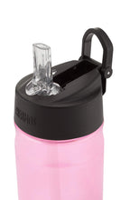 Load image into Gallery viewer, Thermos Hydration Water Bottle with Straw, Pink, 355 ml