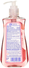Load image into Gallery viewer, Dial Pomegranate &amp; Tangerine Antibacterial Hand Soap with Moisturizer 7.5 Oz. (Pack of 4)