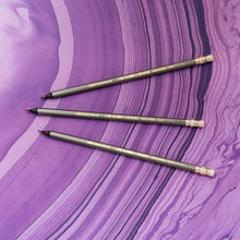 Load image into Gallery viewer, BIC Evolution Cased Pencil, #2 Lead, Gray Barrel, 24-Count